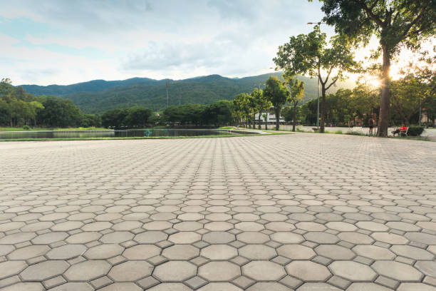 Best Driveway Paving Contractor  in Pittsville, MD
